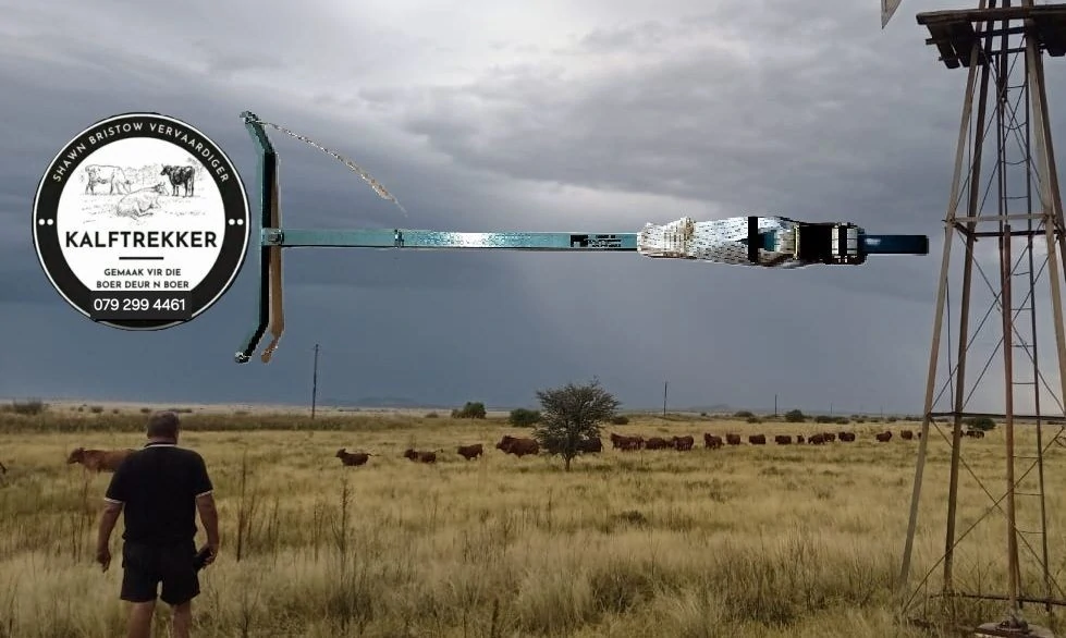 Waiting for the cattle to come to the kraal